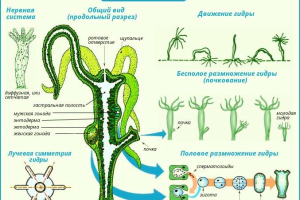 Black sprut ссылка blacksprul me